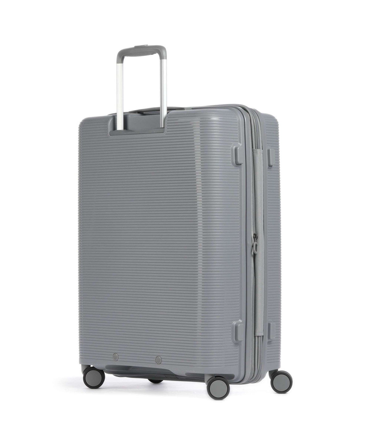 Echolac Forza M Spinner (4 wheels) arctic grey