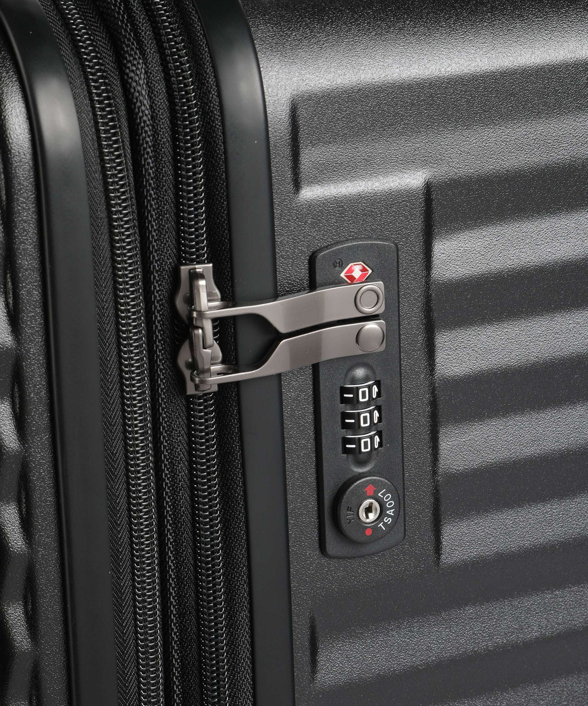 Echolac Celestra BLX L Spinner (4 wheels) black