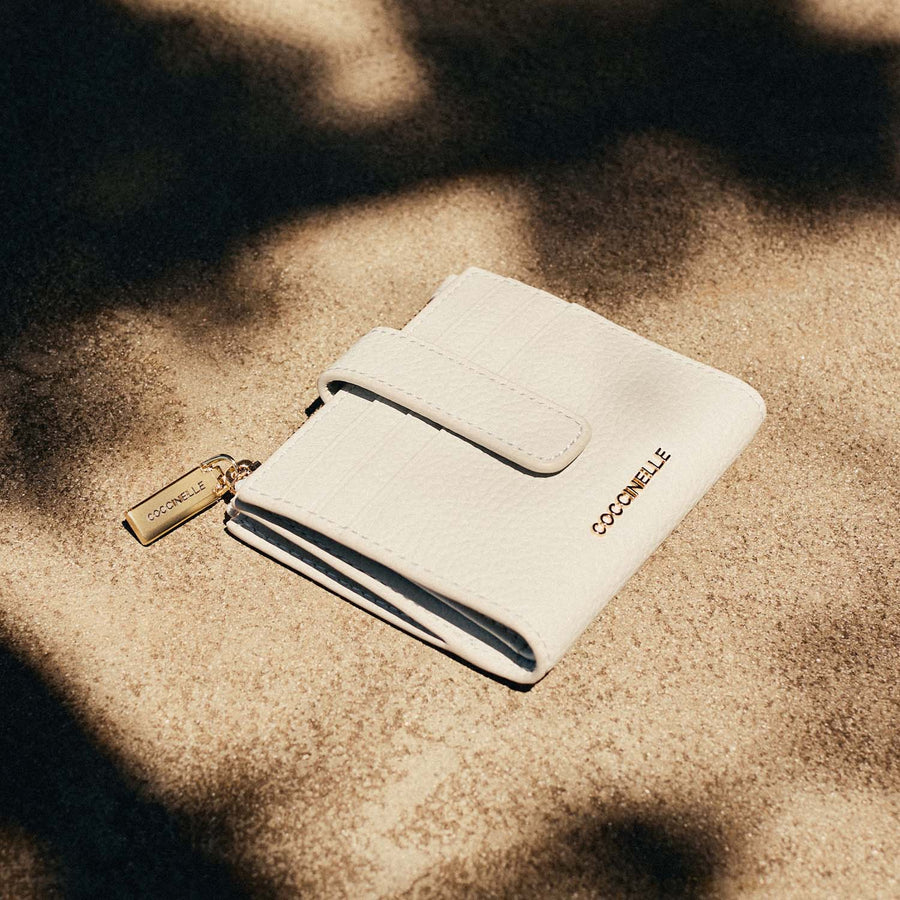 Coccinelle Accessories