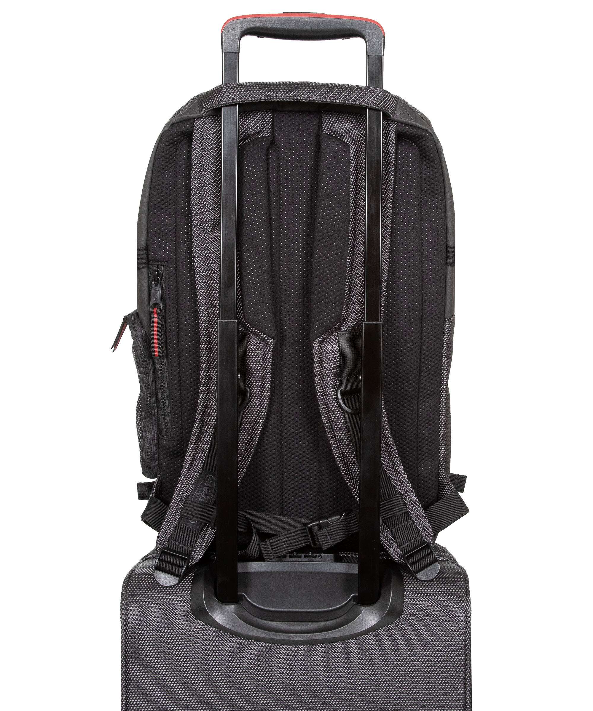 Eastpak Tecum M Backpack cnnct accent grey
