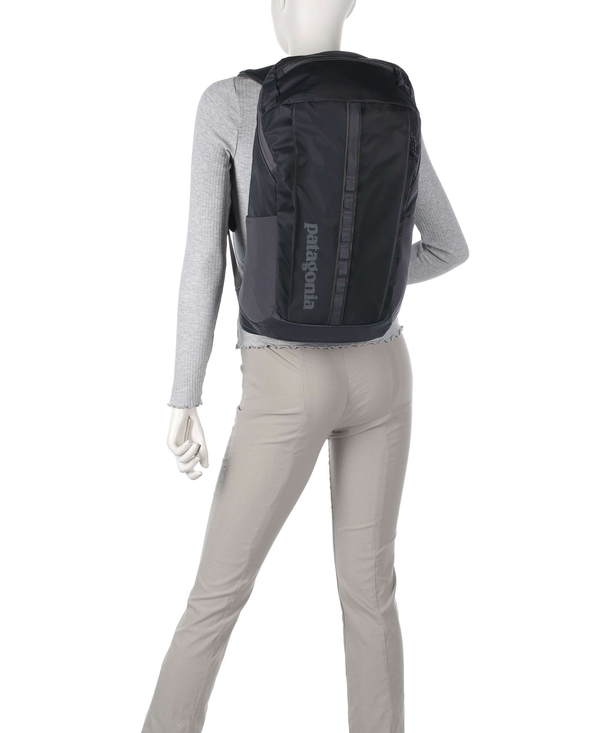 Patagonia Black Hole 25 Backpack cinnamon brown