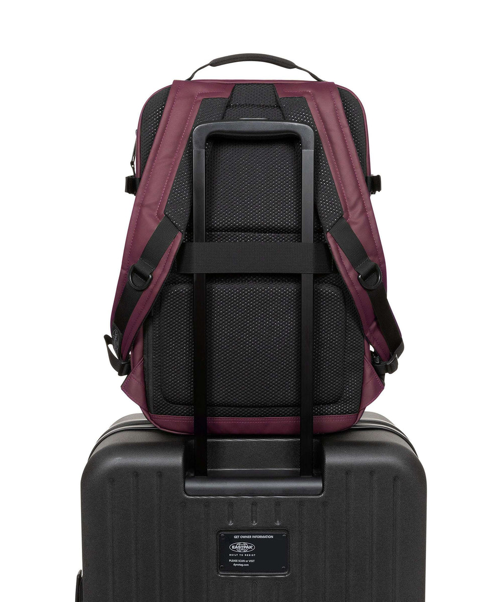 Eastpak Tecum Cnnct M Backpack fig