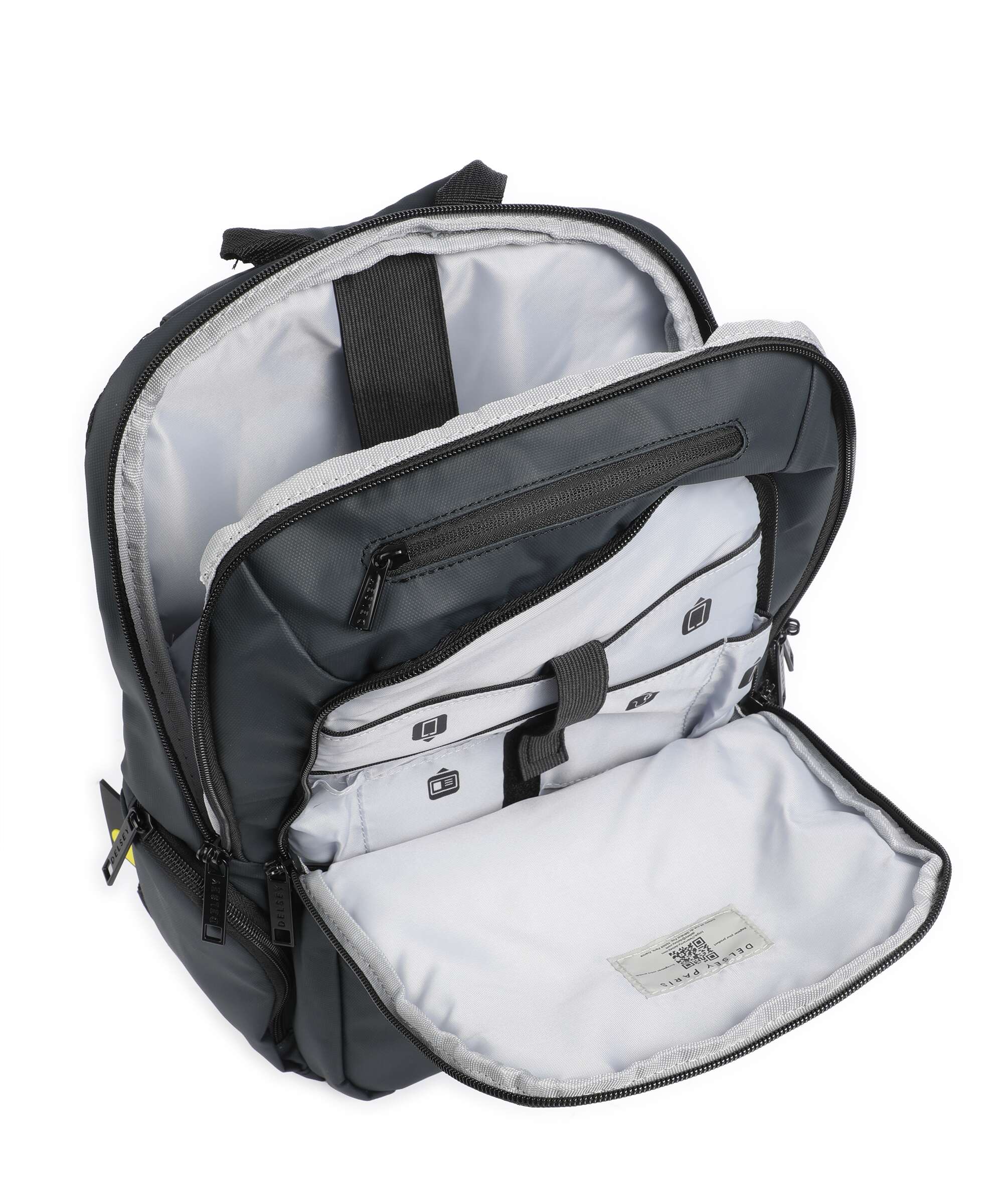 Delsey Paris Parvis Plus Backpack grau
