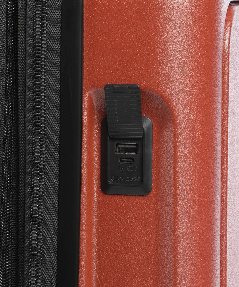 Delsey Paris Turenne 2.0 Spinner (4 wheels) backstein