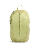 Deuter AC Lite 21 SL Vandringsryggsäck sprout linden