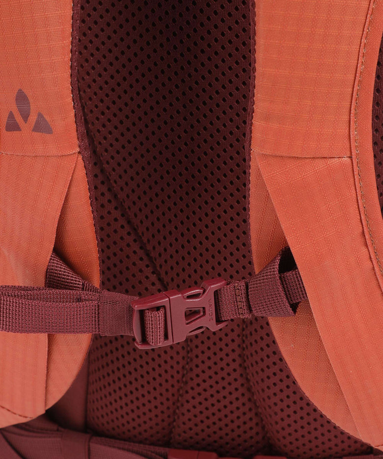 Vaude CityGo 23 ll Backpack buckeye