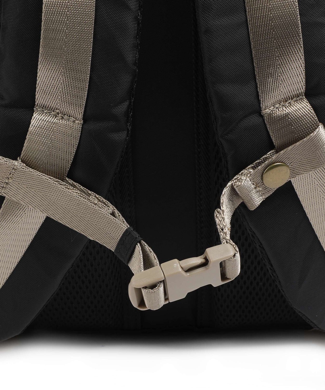 Doughnut Jungle Colorado Backpack black