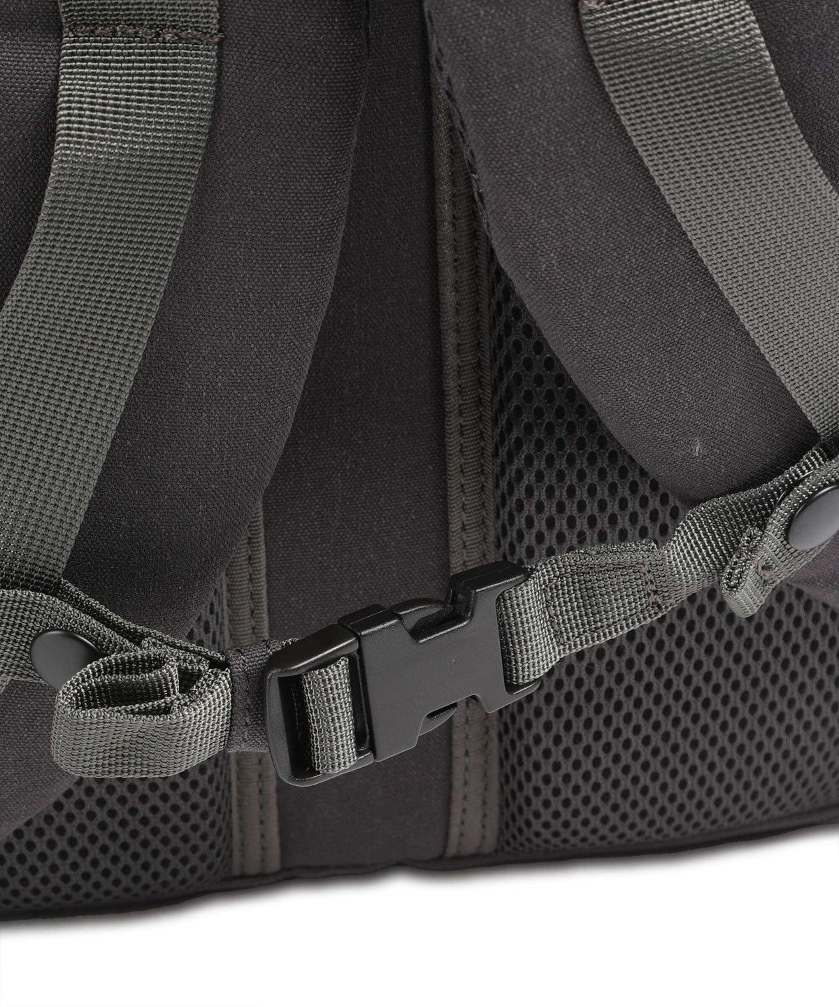 Doughnut Mediative Colorado Backpack ground
