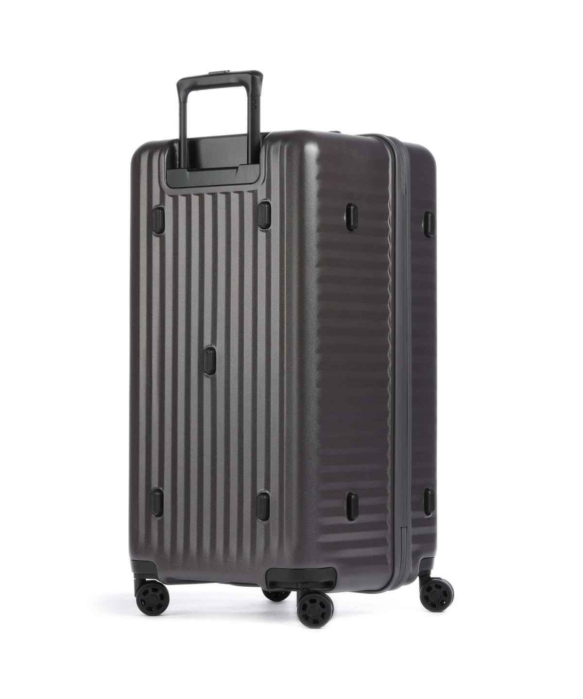 Echolac Celestra SuperTrunk L Spinner (4 wheels) dark grey