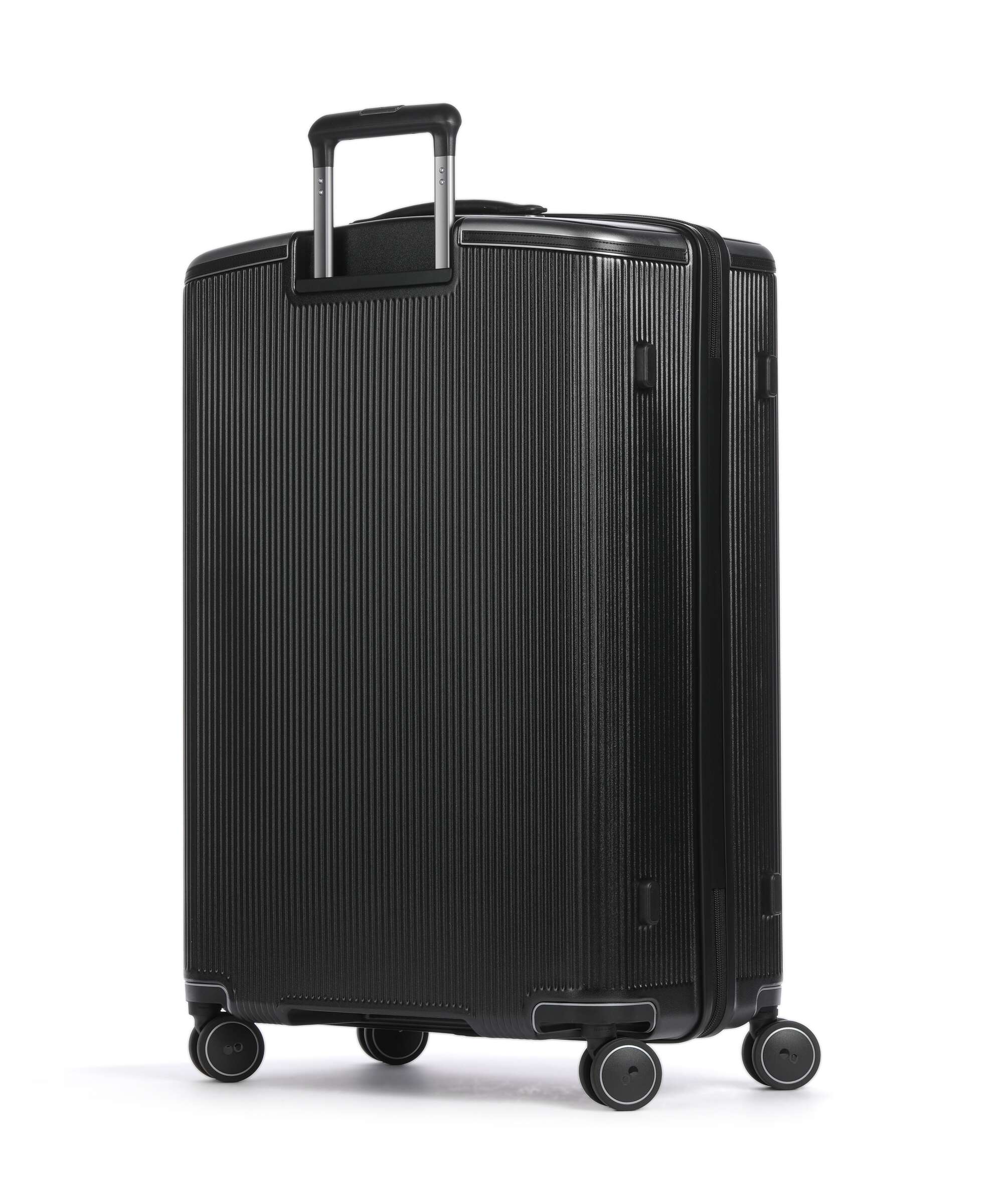 Echolac Dynasty VLX L Spinner (4 wheels) earth black