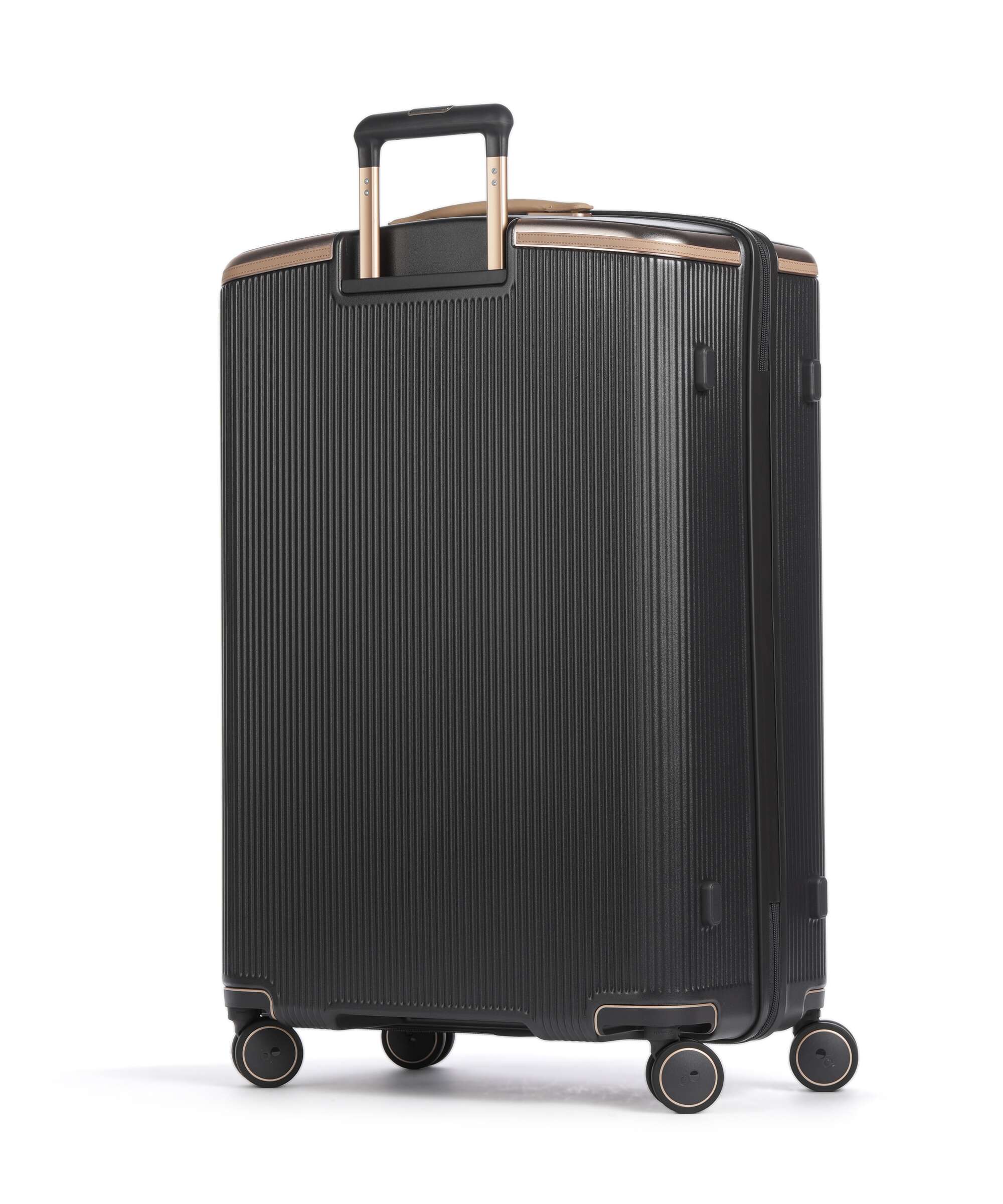 Echolac Dynasty VLX L Spinner (4 wheels) dark chocolate