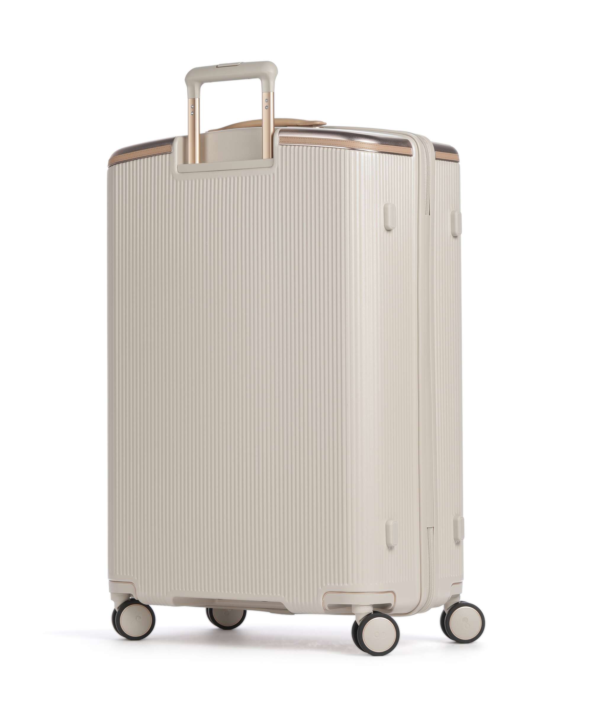 Echolac Dynasty VLX L Spinner (4 wheels) almond white