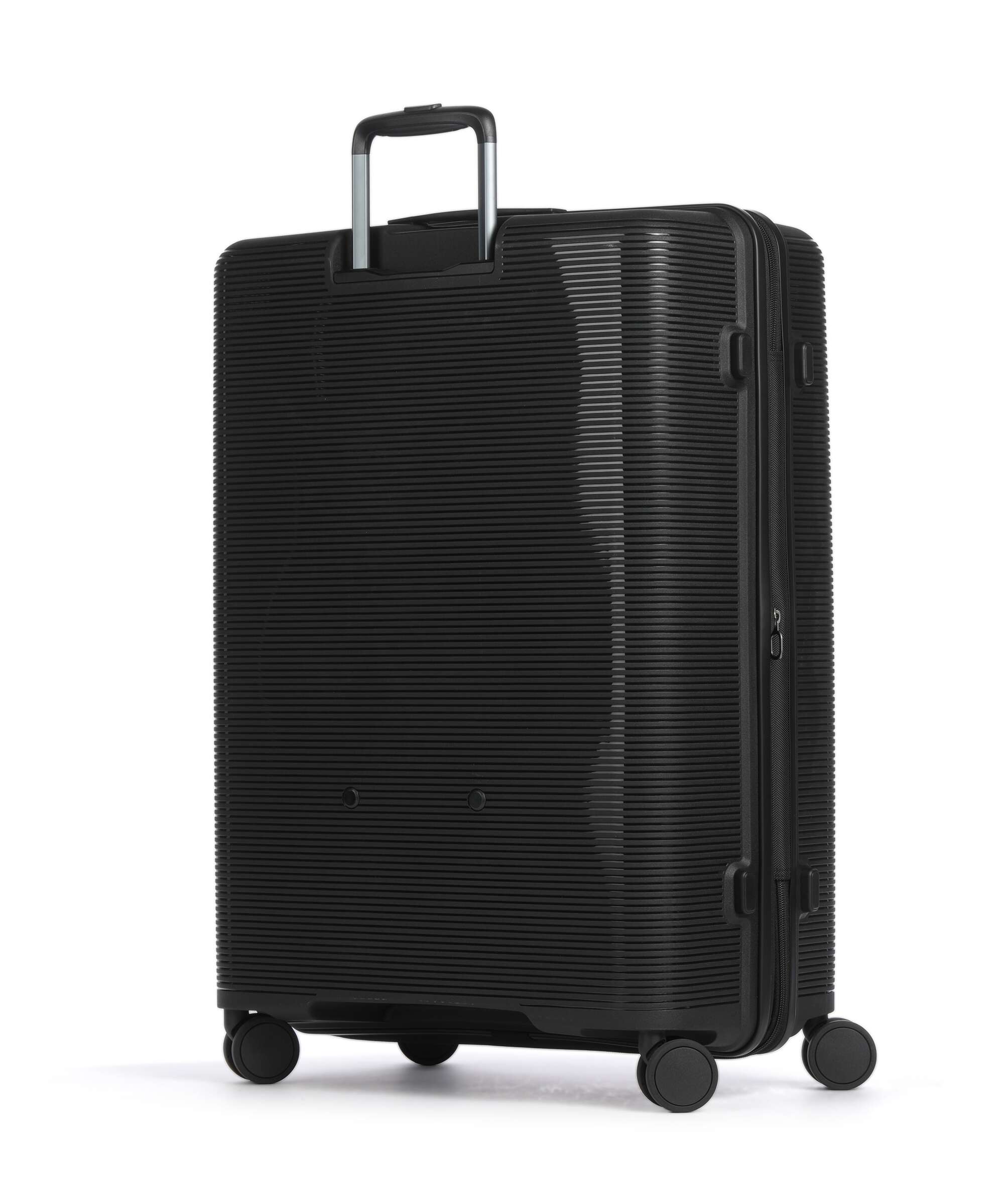 Echolac Forza L Spinner (4 wheels) volcanic black