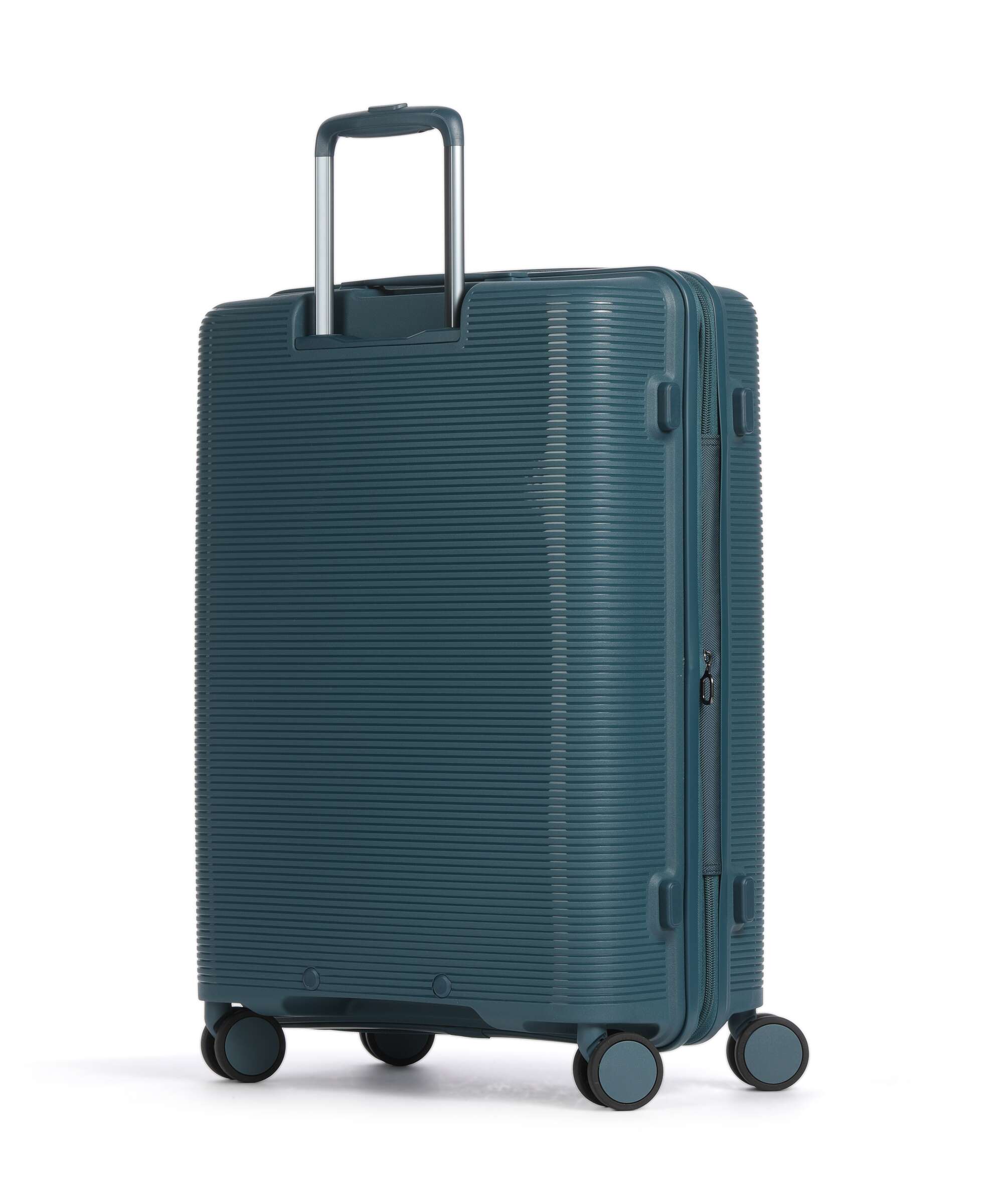 Echolac Forza M Spinner (4 wheels) ocean blue