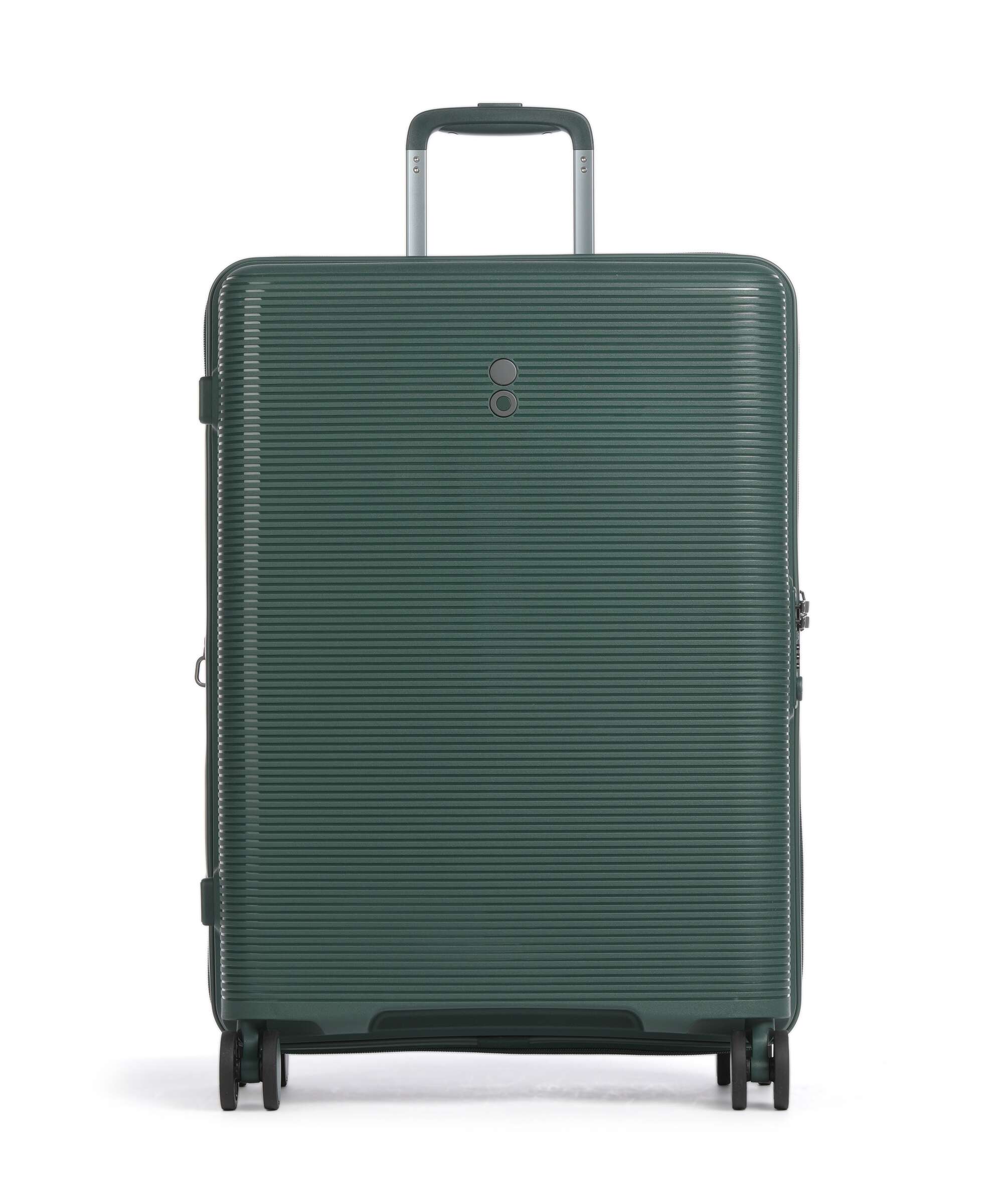 Echolac Forza M Spinner (4 wheels) pine green