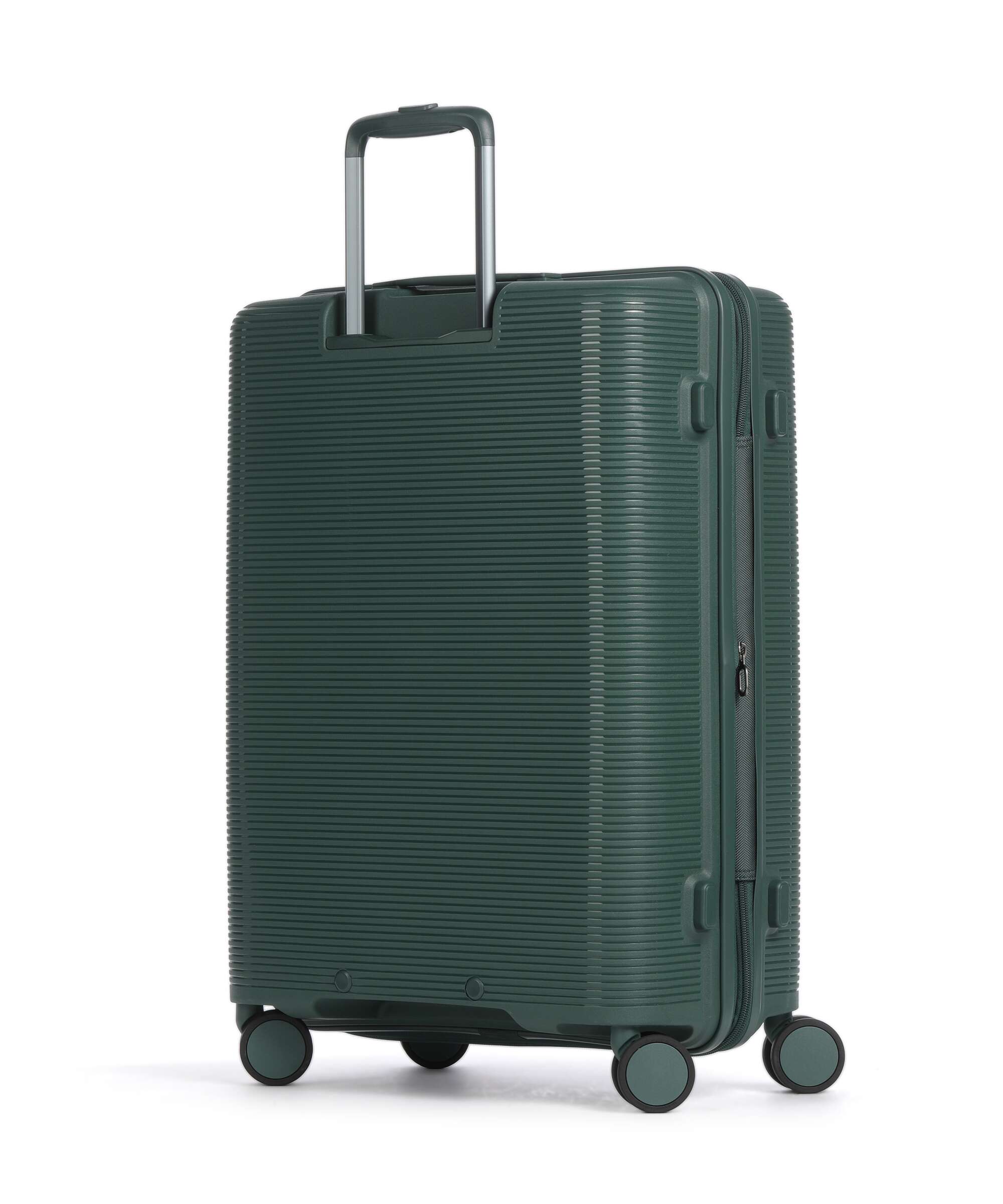 Echolac Forza M Spinner (4 wheels) pine green