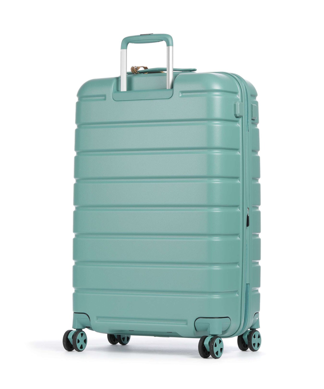 Roncato ReLife Spinner (4 wheels) salvia