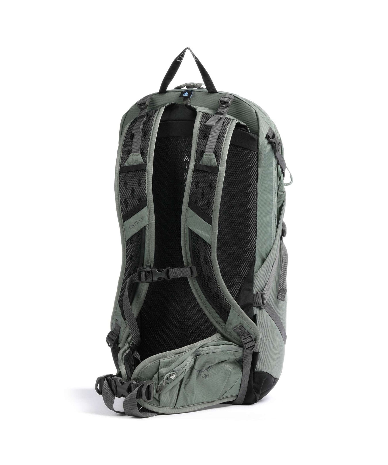 Osprey Sportlite 25 M/L Hiking backpack pine leaf green